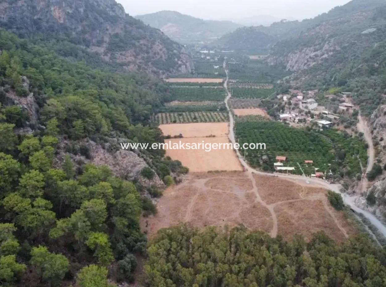 3578M2 Feld Zum Verkauf An Der Straße Von Aşı Koyu In Mergenlide