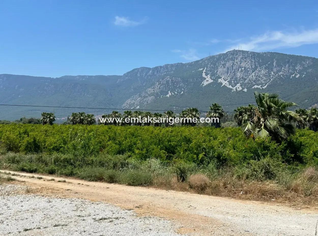 13.500 M2 Straßenfeld Zum Verkauf In Akyaka Akçapınar