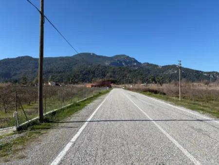 5985M2 5% Zoniertes Land Zum Verkauf In Dalyan Als Weinberggarten