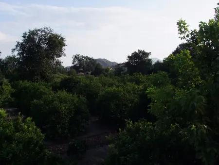 Nahe Dem Zentrum Von Dalyan In Dalyan Grundstück Für Verkauf Zum Verkauf 987M2