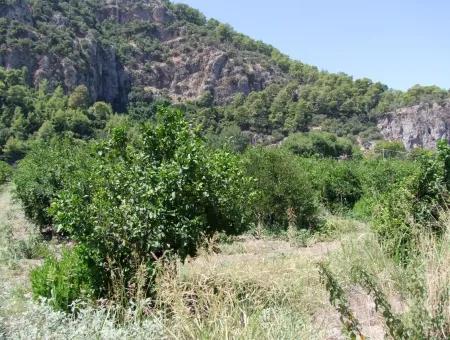 In Dalyan Grundstück Zum Verkauf In Channel Zero