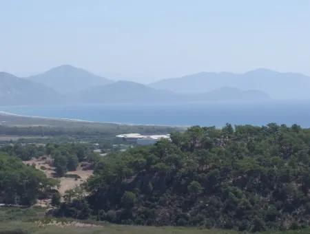 Mit Vollem Meerblick Zum Verkauf In Sarigerme, Grundstücke Zum Verkauf