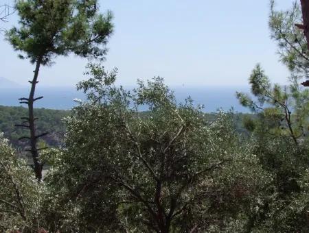 Mit Vollem Meerblick Zum Verkauf In Sarigerme, Grundstücke Zum Verkauf