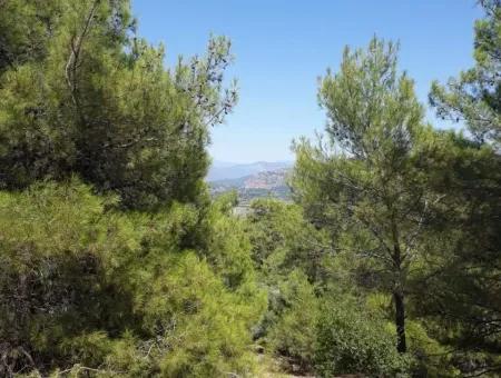 Dalyan Iztuzu In Der Dalyan Zum Verkauf Zum Verkauf In Der Candır 2367M2 2B