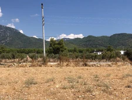 11.227M2 Grundstück Zum Verkauf Mit Seeblick In Köyceğiz Zeytinalan