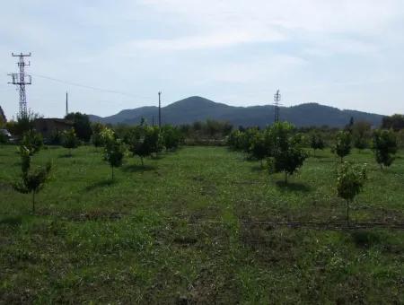 Güzelyurt Land Zu Verkaufen Dorf Gebaut 6670M2 Land Zum Verkauf