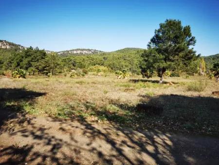 Land Zum Verkauf In 'Aml'da Marmaris 'Aml'da Meerblick 11720M2 Land Zu Verkaufen