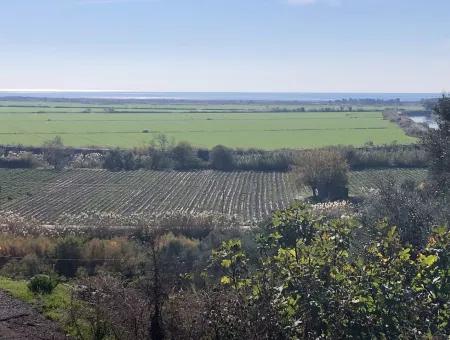 Land Zu Verkaufen In Sar'germede 30.000M2 Land Zum Verkauf Mit Meerblick