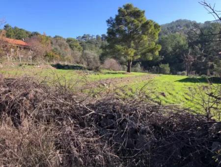 Gokbel Land Zu Verkaufen 8000M2 Land Zum Verkauf Mit Voller Meerblick