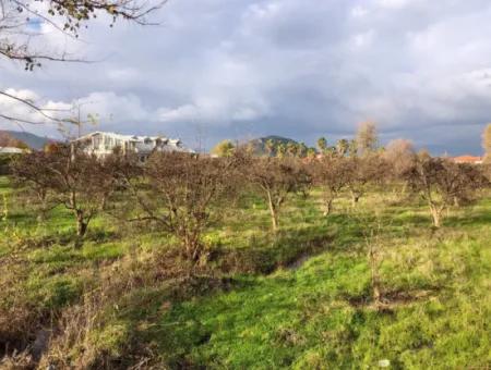 Dalyan Land Zu Verkaufen In Der Nähe Des Zentrums 3000M2 5% Zoning Land Zu Verkaufen