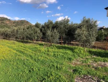 Land Zum Verkauf Land Zu Verkaufen Mit Null 900M2 Zonierung Auf Hauptstraße