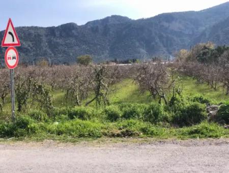 5500M2 Grundstück Zu Verkaufen In Dalyan