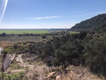 Grundstück Zum Verkauf Mit Meerblick Von Fevziye