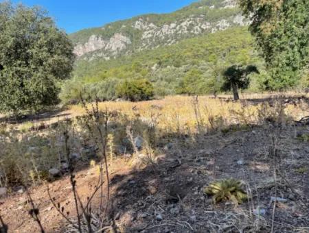 2620M2 Grundstück Zum Verkauf Mit Meerblick Von Çandir