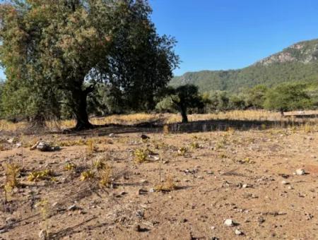 2620M2 Grundstück Zum Verkauf Mit Meerblick Von Çandir