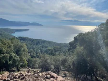 8.900M2 Feld Zum Verkauf Mit Vollem Meerblick In Ekincik