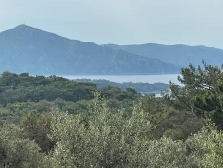 Olivenhaus Mit Meerblick In Ekincik Steht Zum Verkauf