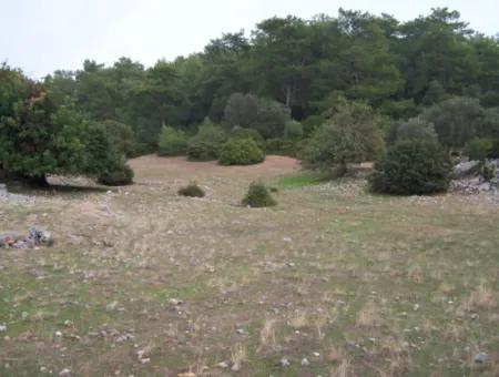 Steinhaus Zum Verkauf In Sarsalada Meerblick 4274M2 Grundstück