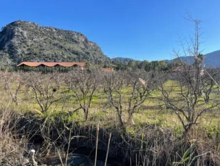 Dalyan Iztuzu Road Zero 5216M2 Feldgrundstück Zum Verkauf