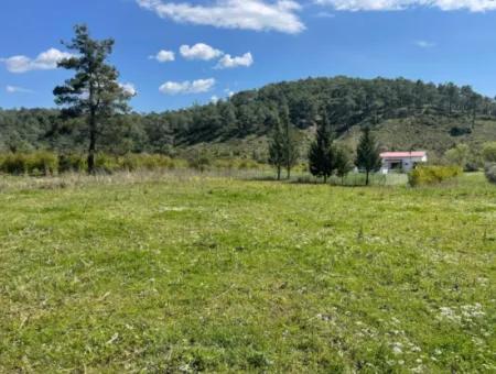 Mehrfamilienhaus Zum Verkauf In 5650M2 Feld In Zeytinalann