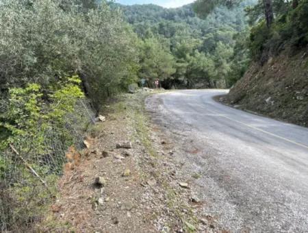 5000M2 Feld Zum Verkauf Am Anfang Der Straße In Çandır