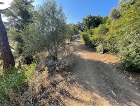 1.320M2 Feld Zum Verkauf Im Zentrum Von Çandır Am Wald