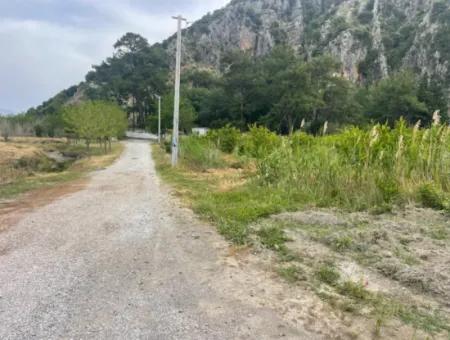 Feld Zu Verkaufen 6500M2 In Dalyan