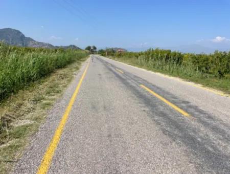 6.500 M2 Feld Zum Verkauf An Der Iztuzu-Straße In Dalyan