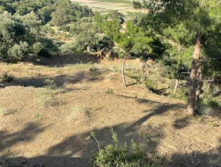 Grundstück Zum Verkauf In Sarigerme 425M2 Mit Vollem Meerblick