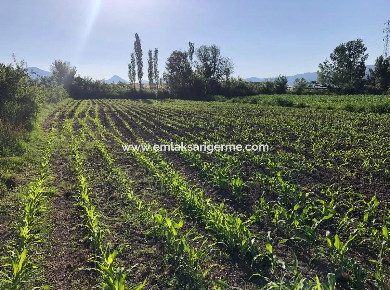 2200M2 Plot For Sale In Dalyan For Sale Dalyan