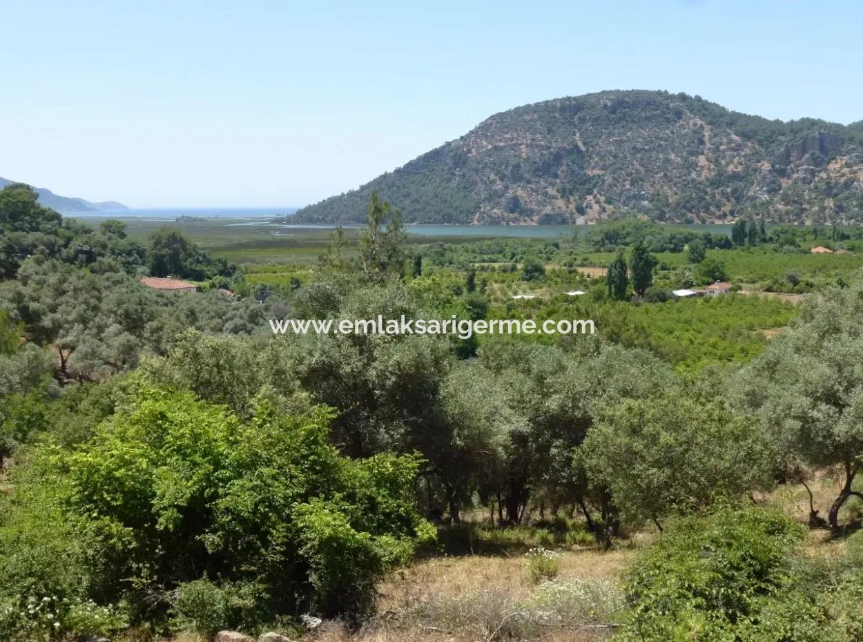 2300M2 Land For Sale Near The Center Of The Land For Sale