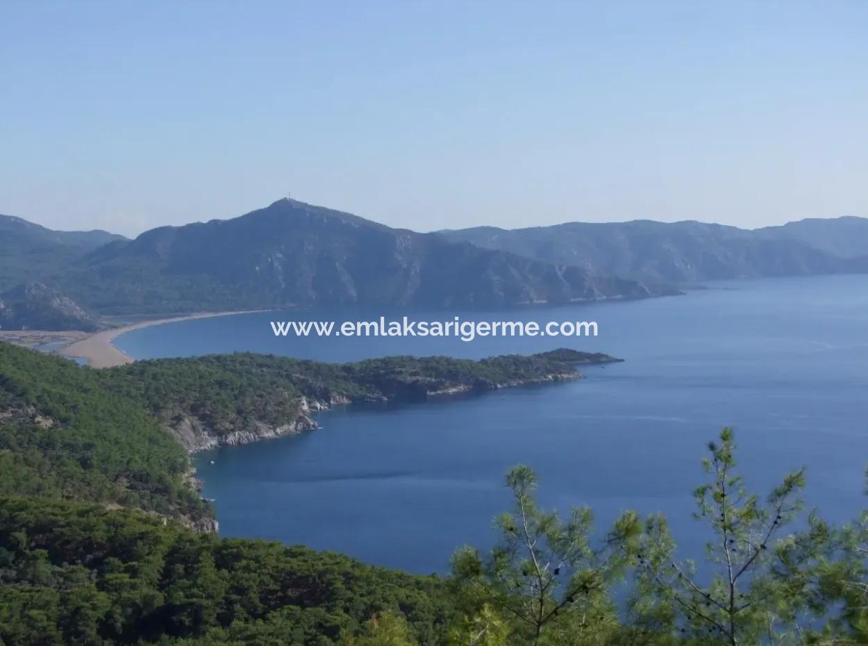 Real Estate Bargain Plot For Sale With Sea Views In Çandır Call In Ekincik