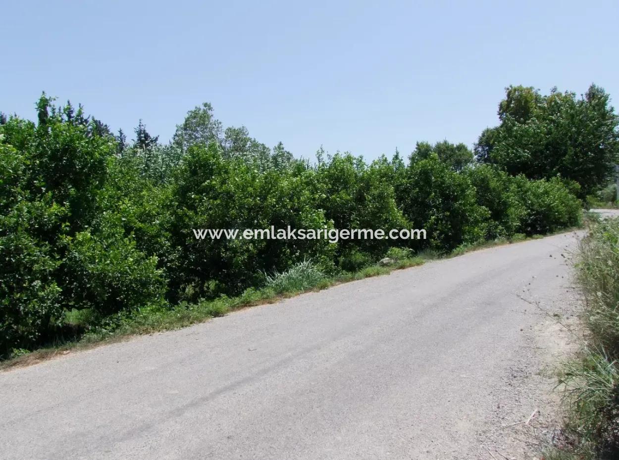 Land For Sale In Fevziyede 1197M2 Land For Sale