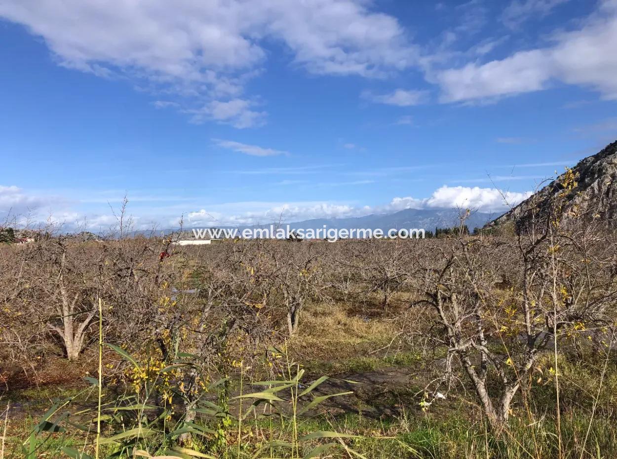 Land For Sale In Dalyan Istuzu Yollu On 24,000M2 Pomegranate Garden For Sale