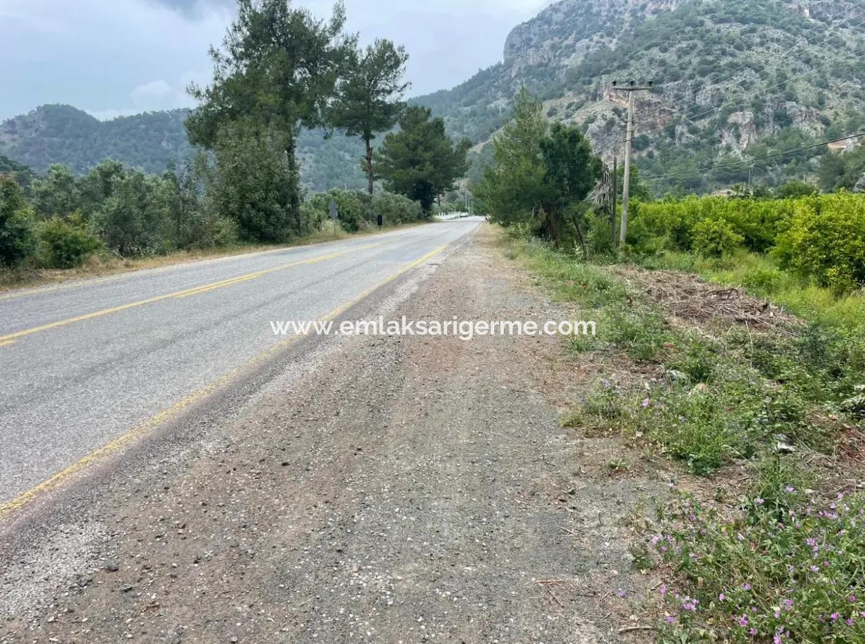 7800M2 Land For Sale At The Beginning Of Iztuzu Beach Road In Gökbel