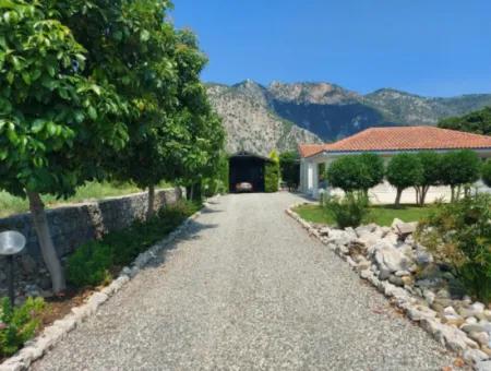 Villa For Sale In A Plot Of 3500M2 On The Road To Iztuzu Beach In Dalyan