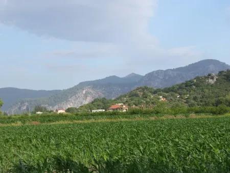 Farm For Sale Near The Centre Of Dalyan,14, 612M2 Farm For Sale