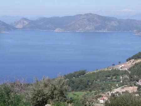 For Sale In Faralya Faralya With Sea View And 11,286M2 Land For Sale Tourism