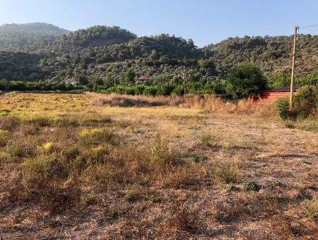 2300M2 Land For Sale Near The Center Of The Land For Sale