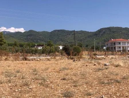 11.227M2 Land For Sale With Lake Views In Köyceğiz Zeytinalanı