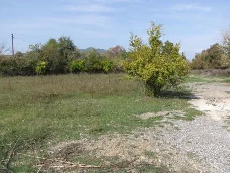 Land For Sale In Guzelyurt Land For Sale Zero 5515M2 Land For Sale On The Main Road