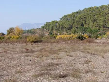 6850M2 Zoning Land With Sea View In Çamlı