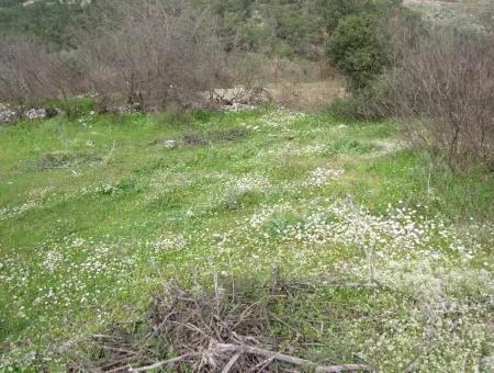 In Incirkoy Uzumlu Fethiye Plot For Sale Farm For Sale In Incirkoy