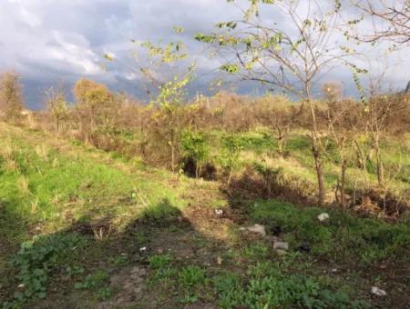 Dalyan Land For Sale Near The Center 3000M2 5% Zoning Land For Sale