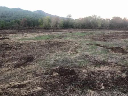 Sultaniye Land For Sale Near 10577M2 Lake Land For Sale