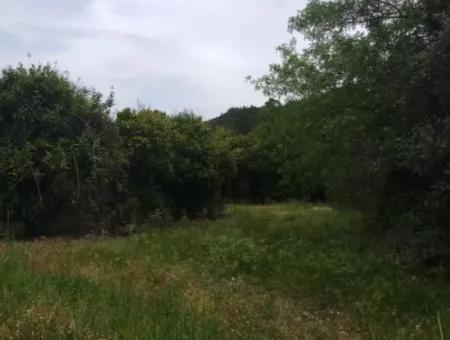 Land For Sale In Çamlida