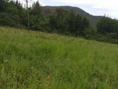 Land For Sale In Çamlida