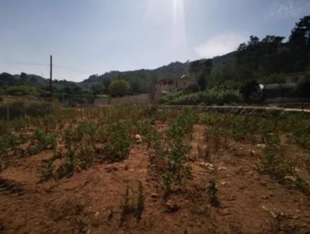 1245M2  Land For Sale In Marmaris Çamlı