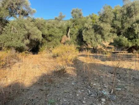 Çandir 3,800M2 Land For Sale