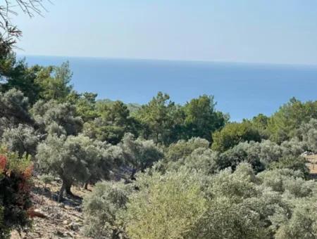 Land For Sale With Sea View Of Çandir